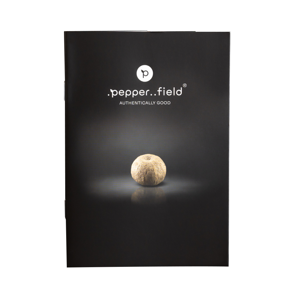 Extra Brochure "The world of .pepper..field" IT