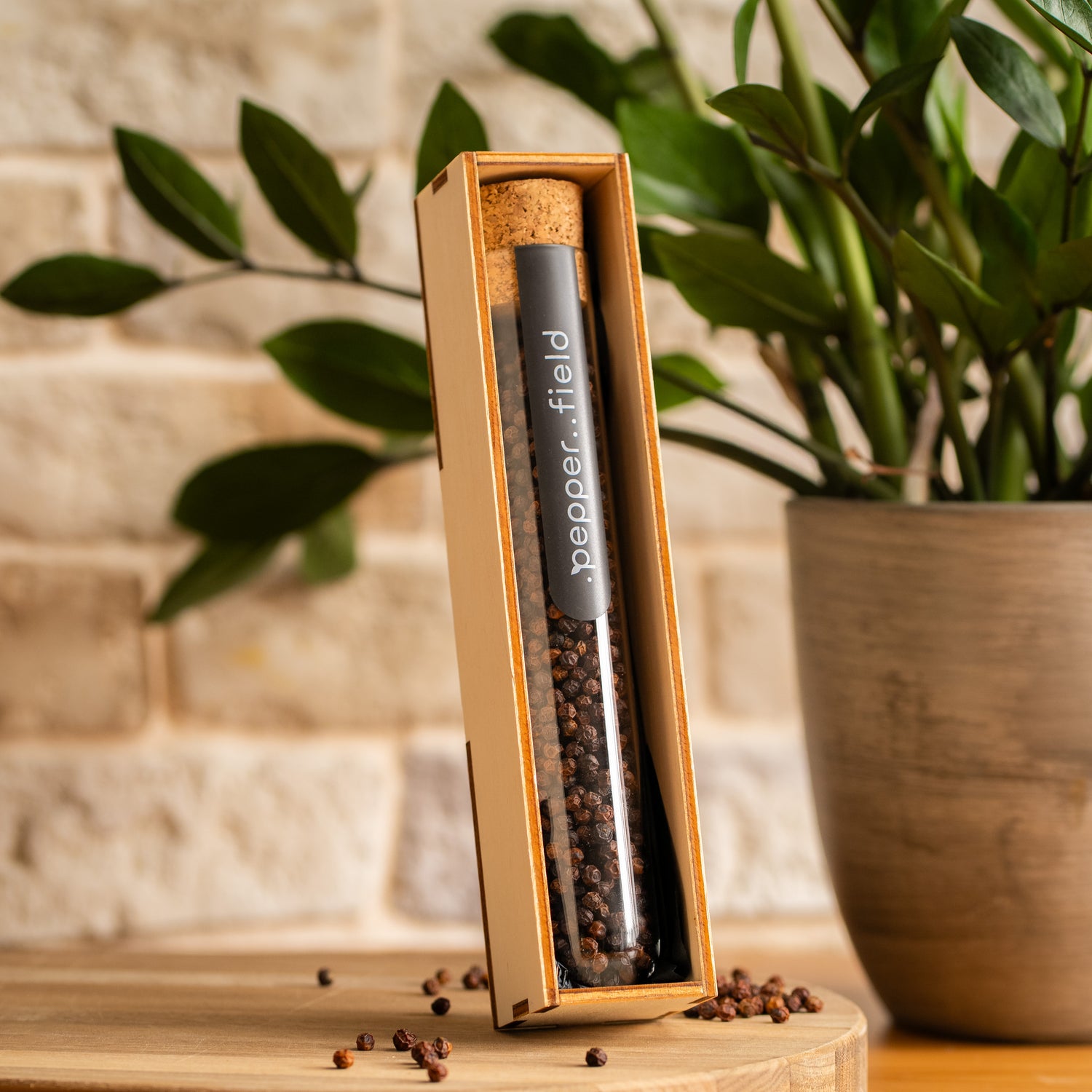Large test tube with dark red Kampot pepper in a gift box 